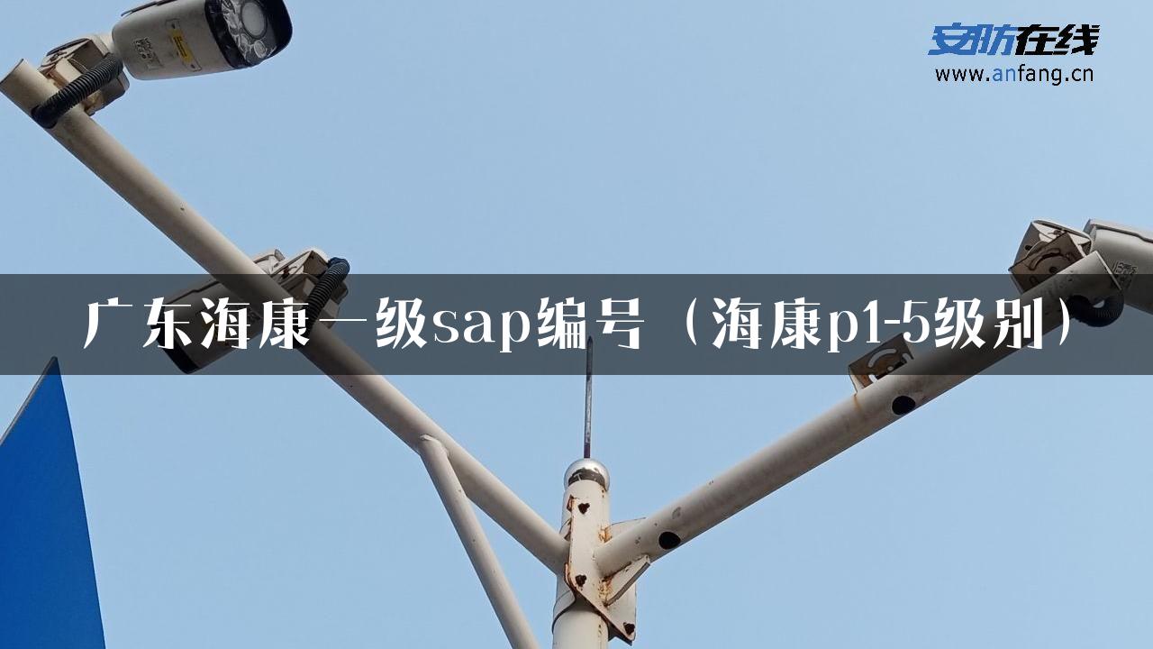 广东海康一级sap编号（海康p1-5级别）