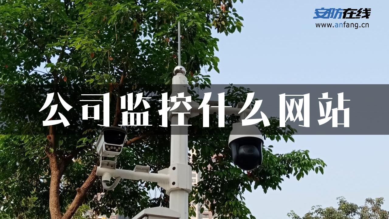 公司监控什么网站