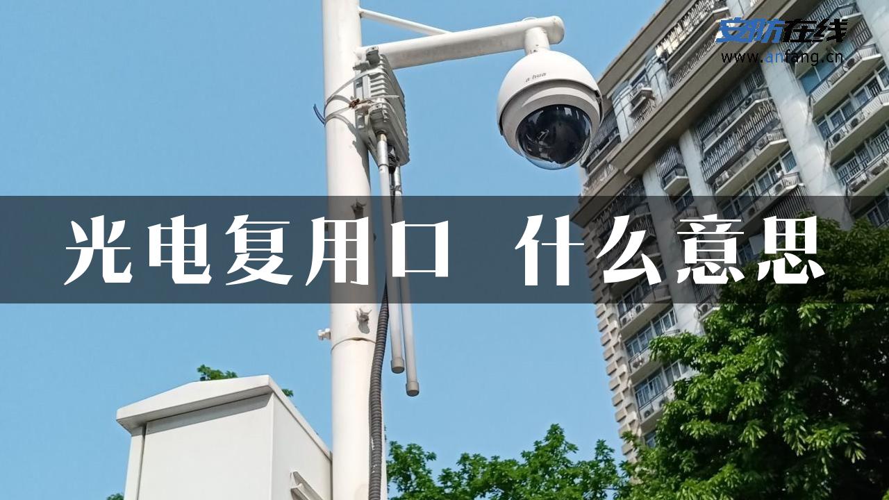 光电复用口 什么意思