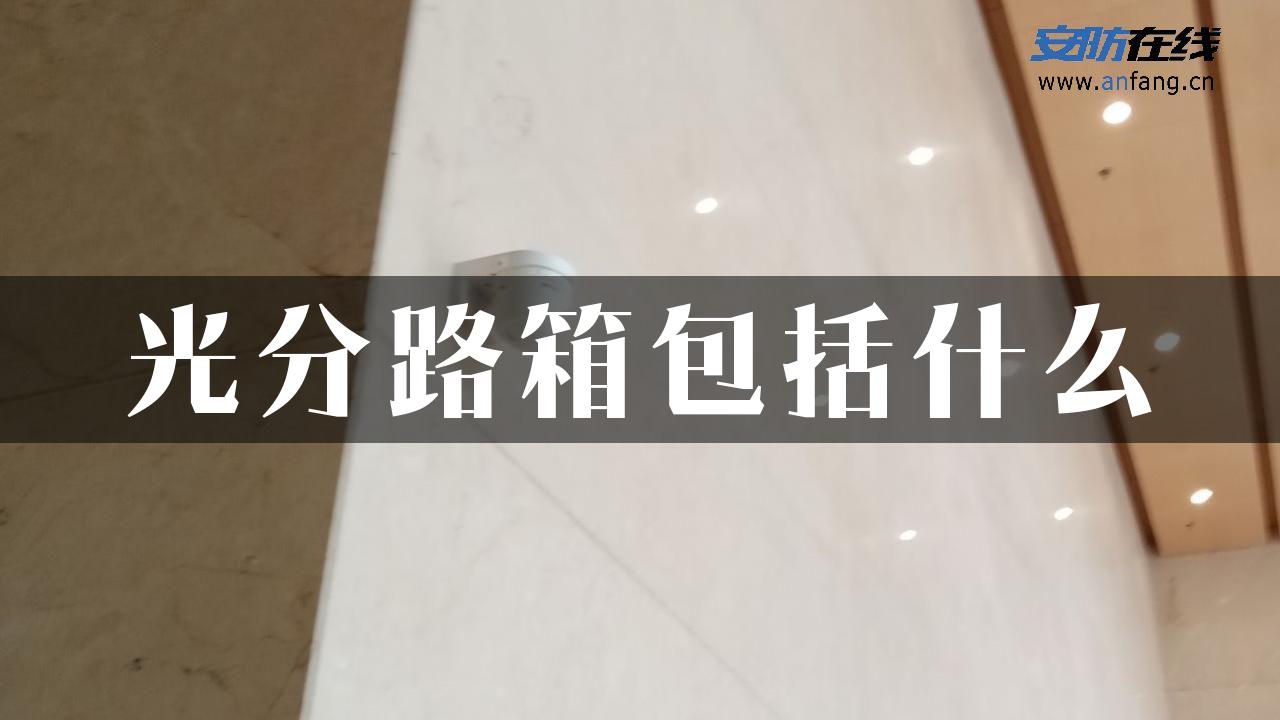 光分路箱包括什么