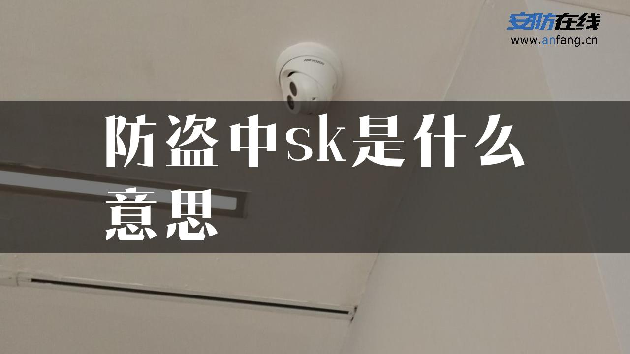 防盗中sk是什么意思