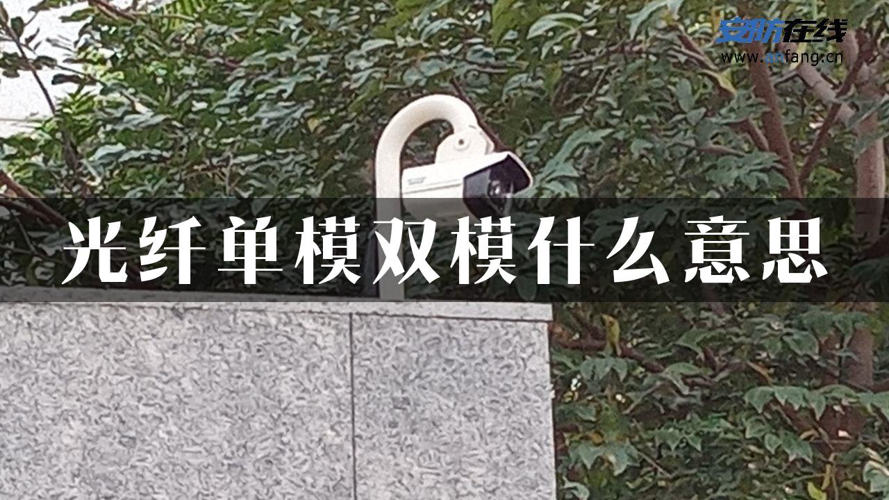 光纤单模双模什么意思