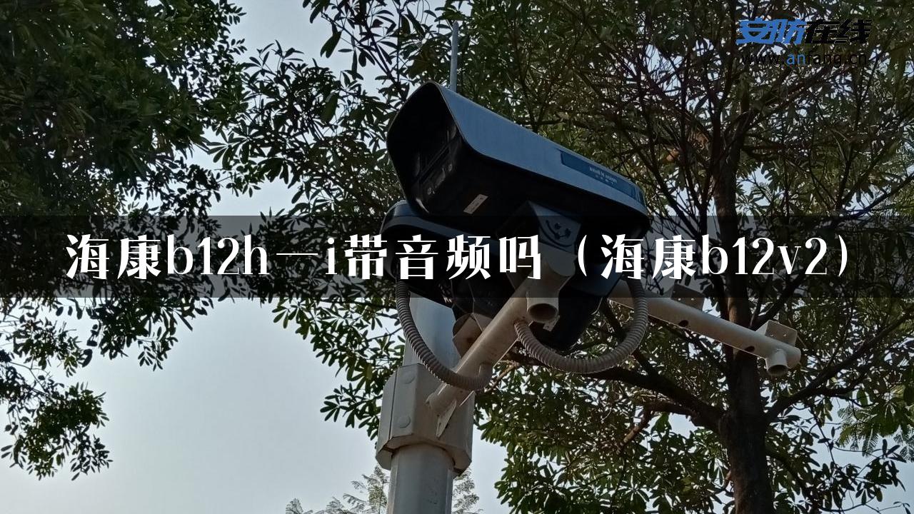 海康b12h一i带音频吗（海康b12v2）