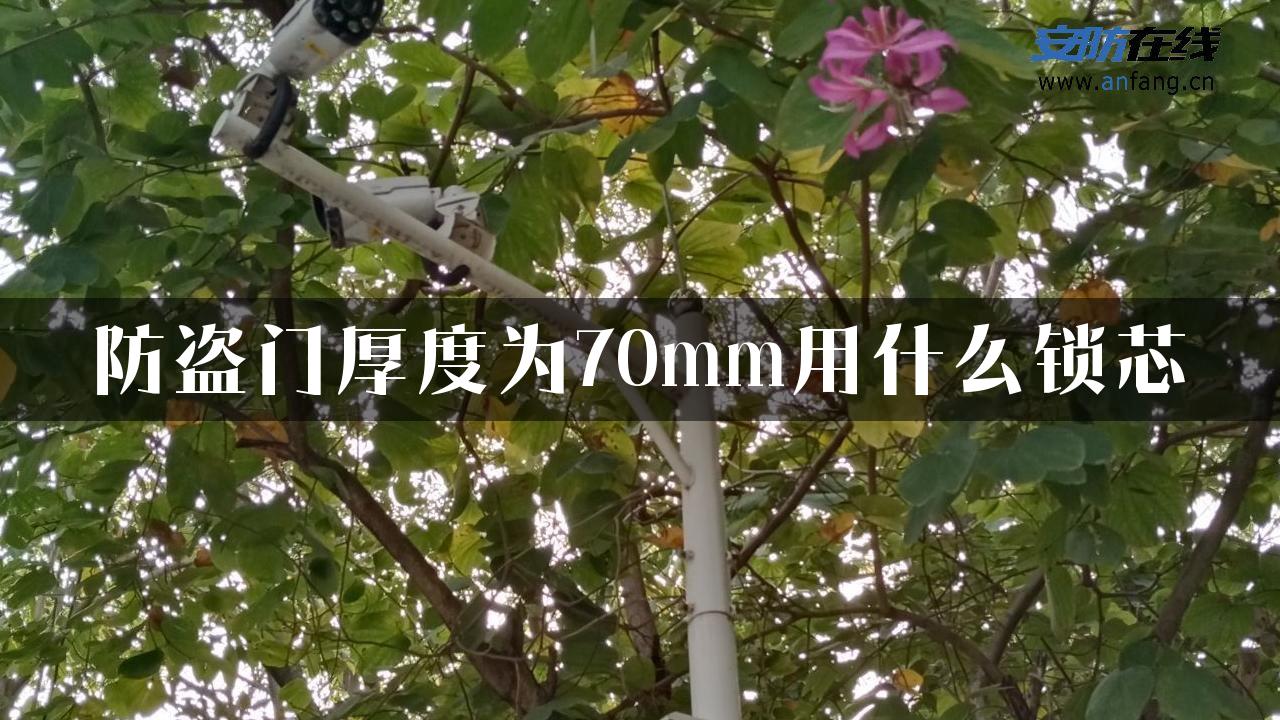 防盗门厚度为70mm用什么锁芯