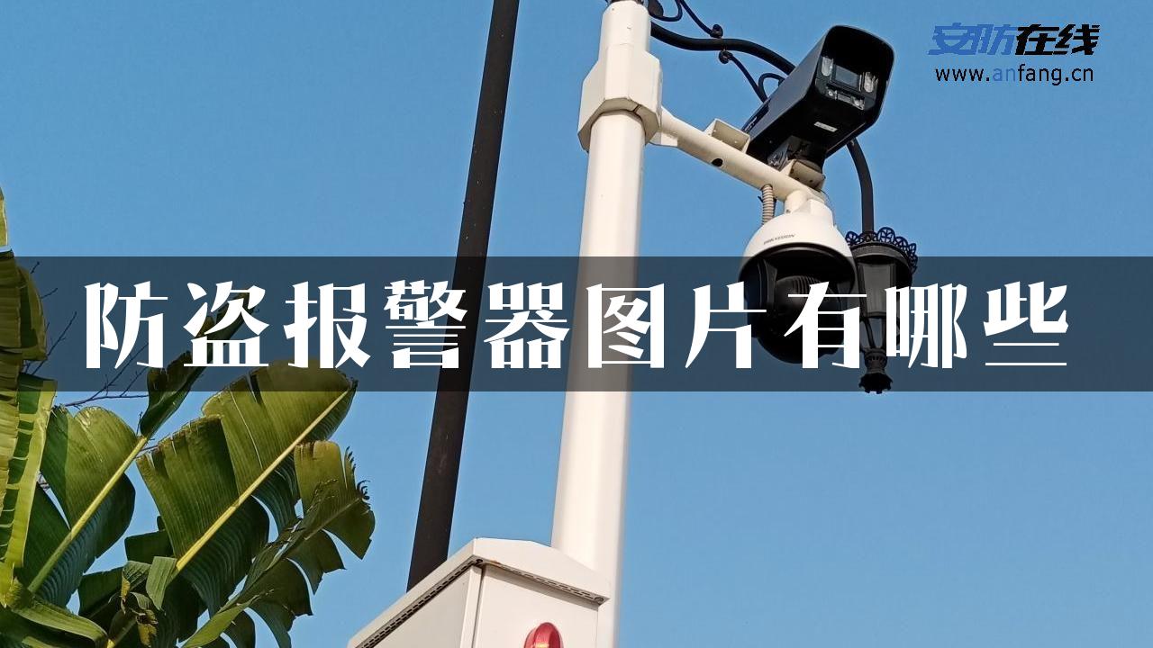 防盗报警器图片有哪些