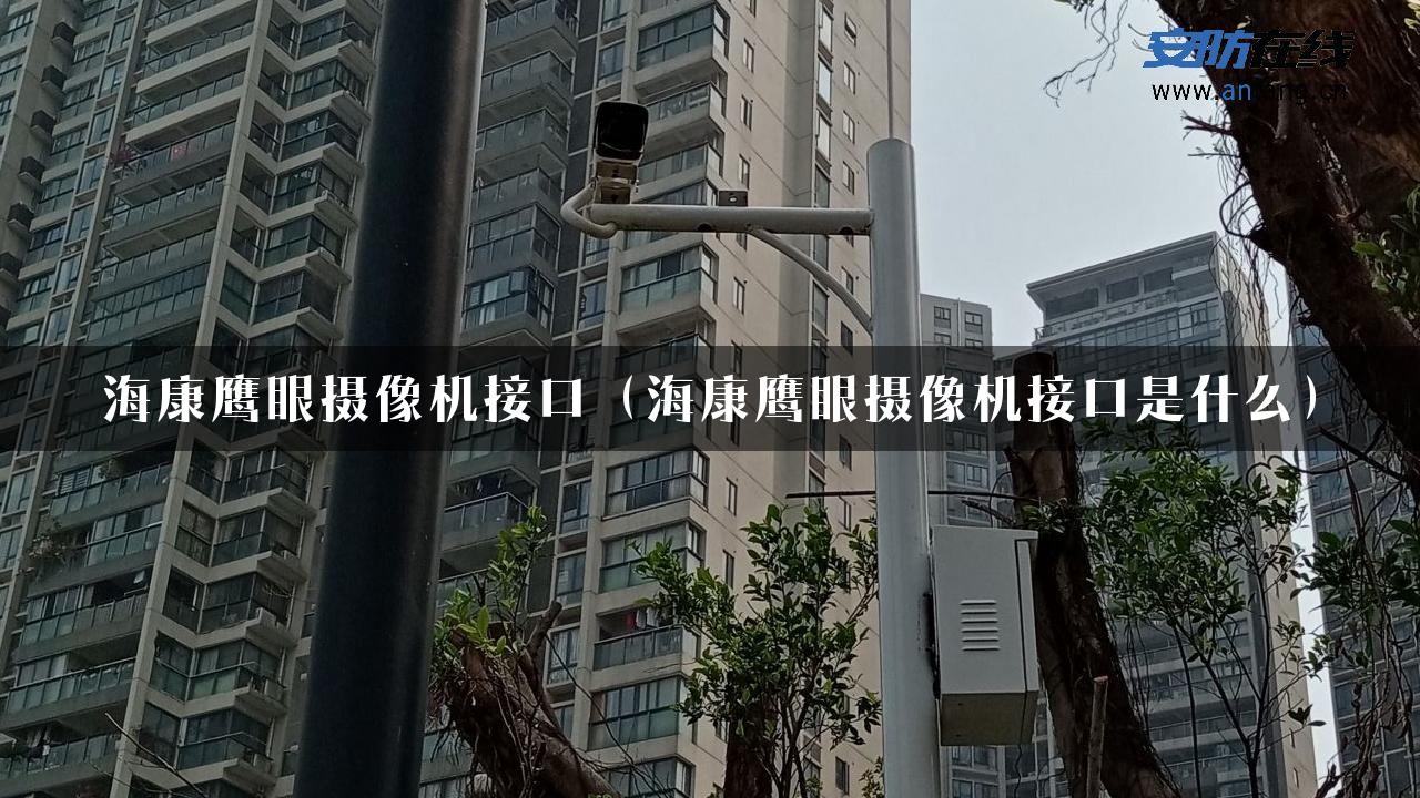 海康鹰眼摄像机接口（海康鹰眼摄像机接口是什么）