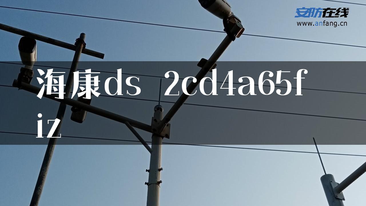 海康ds 2cd4a65f iz