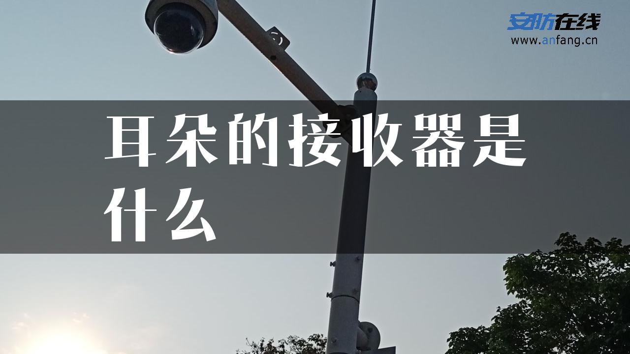 耳朵的接收器是什么