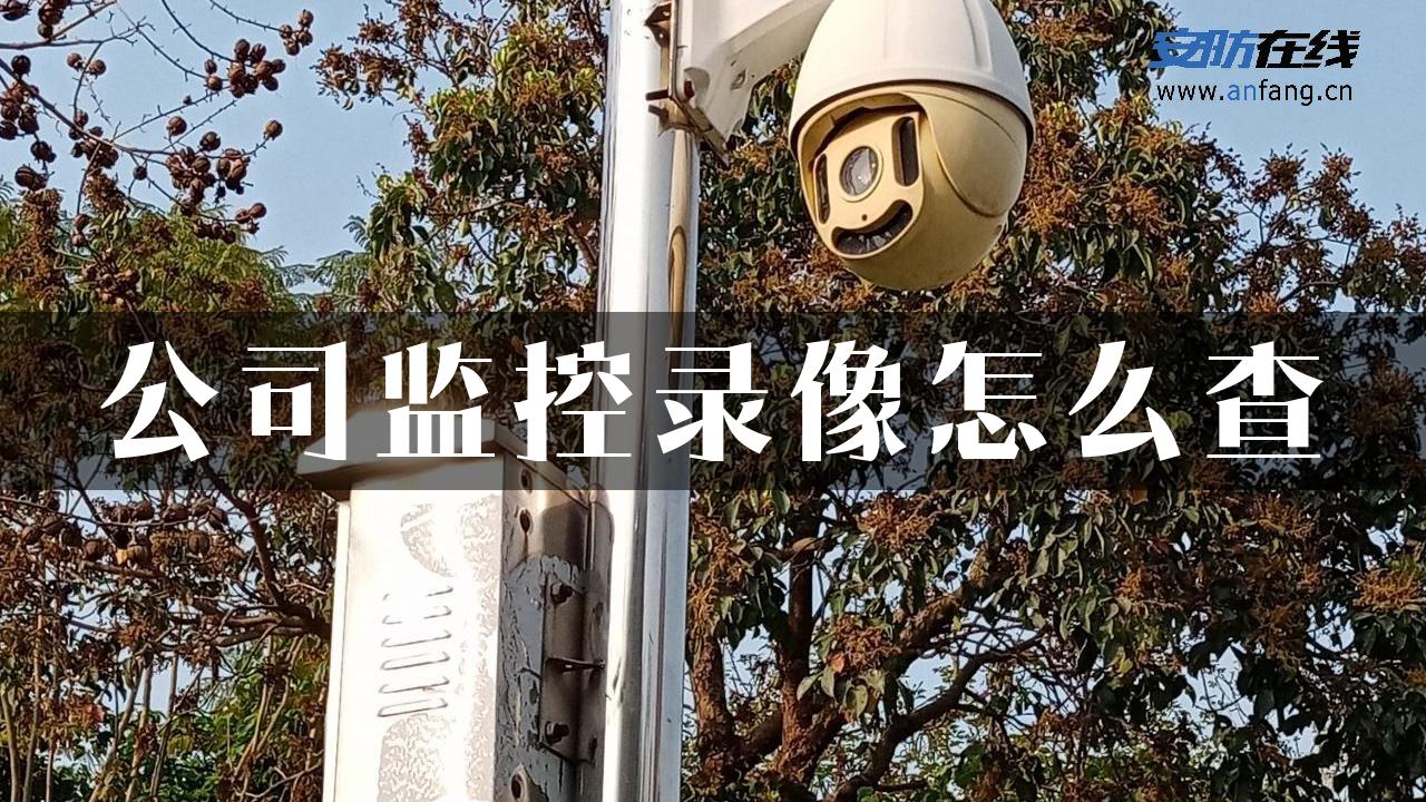 公司监控录像怎么查