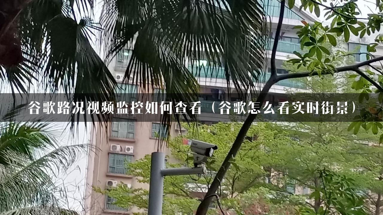 谷歌路况视频监控如何查看（谷歌怎么看实时街景）