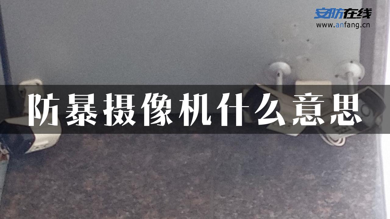 防暴摄像机什么意思