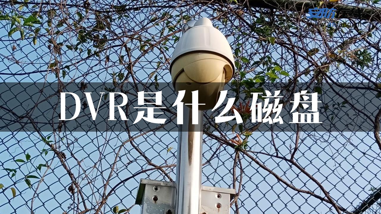 DVR是什么磁盘