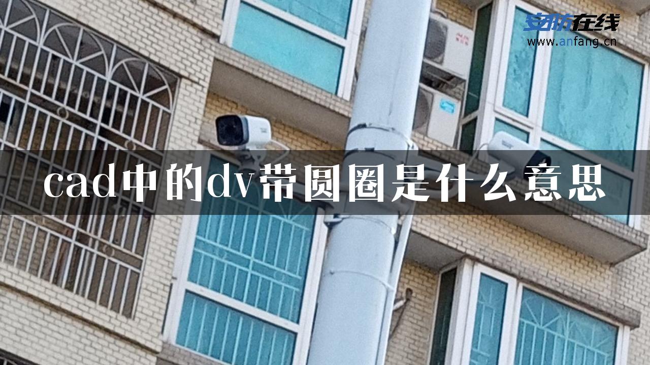 cad中的dv带圆圈是什么意思