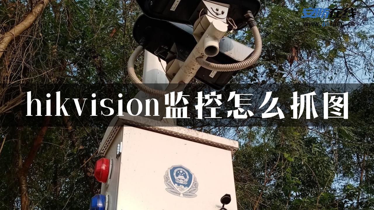 hikvision监控怎么抓图