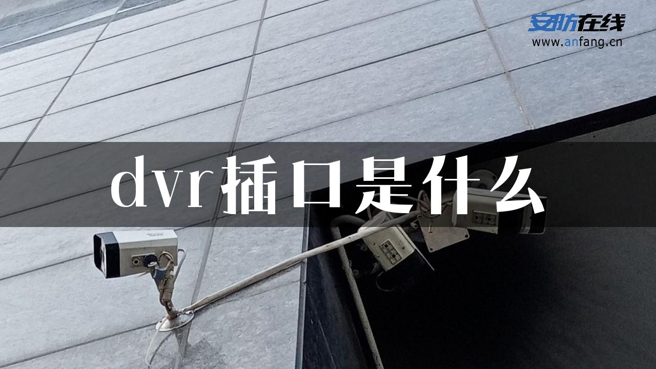 dvr插口是什么