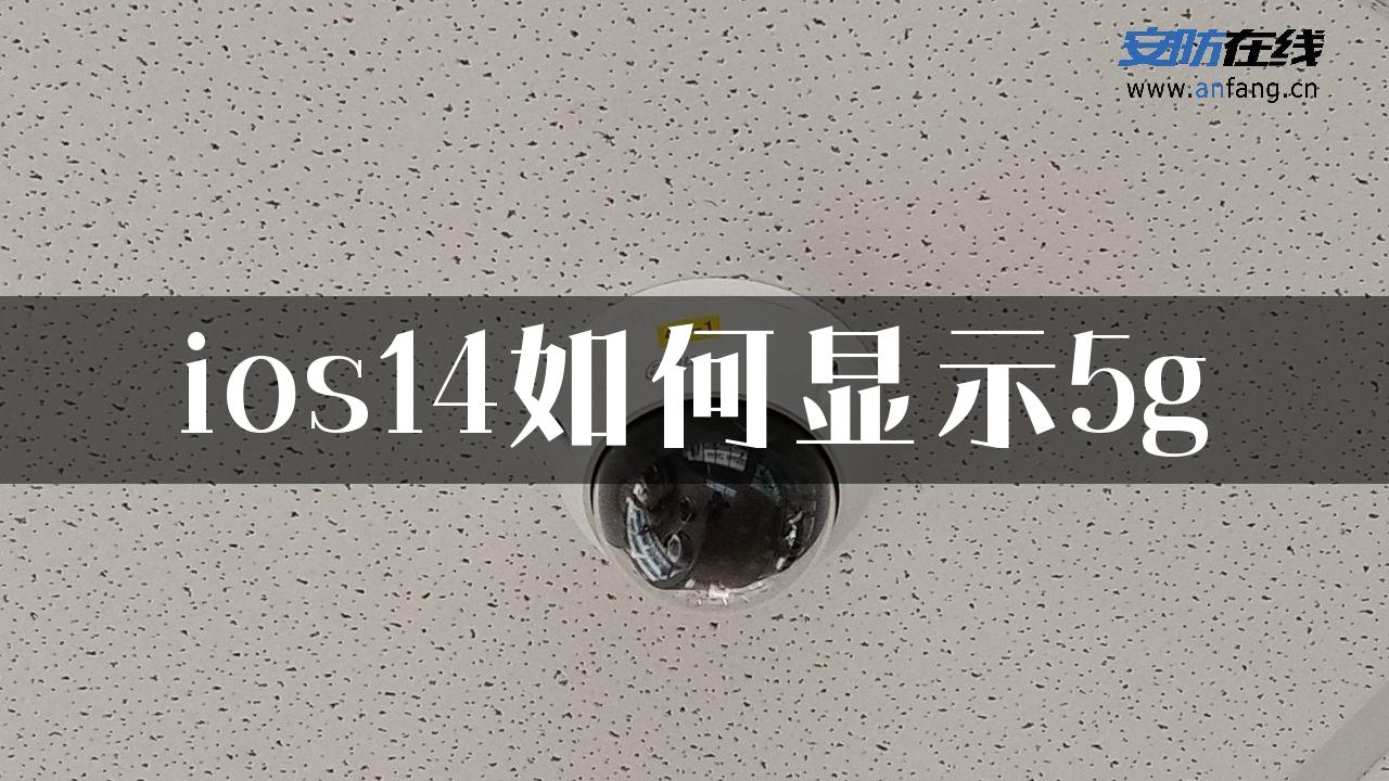 ios14如何显示5g