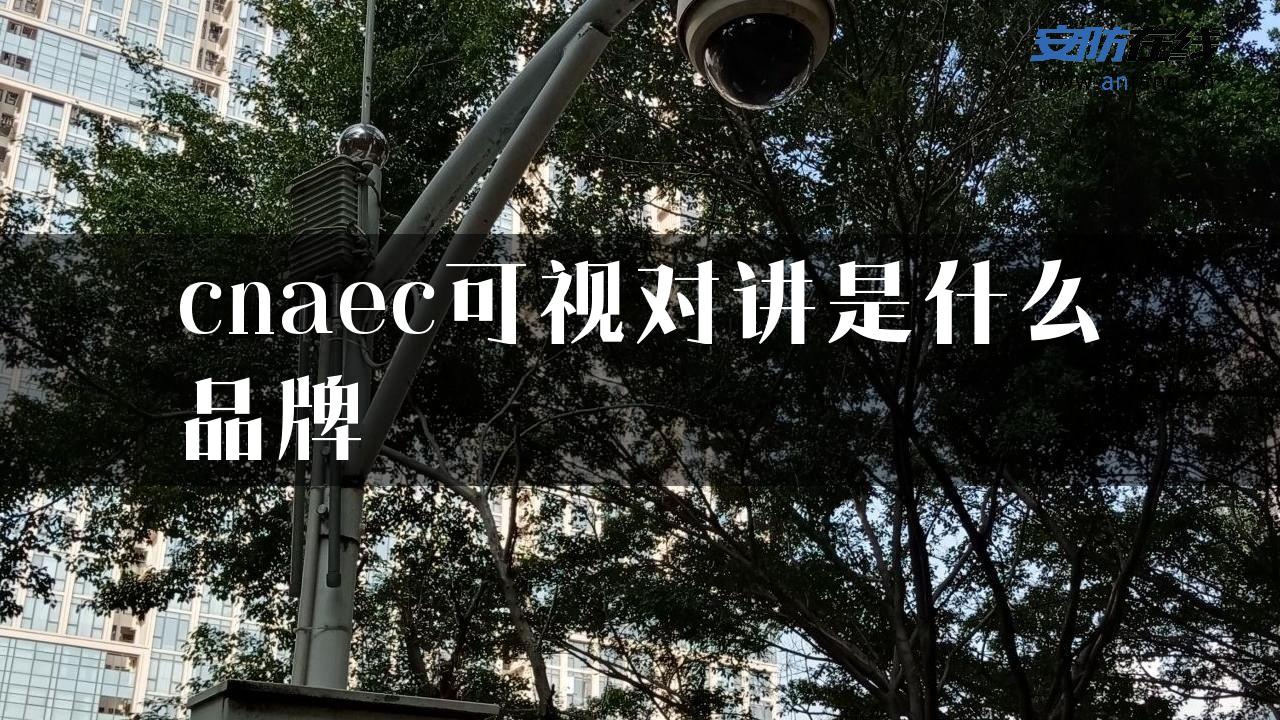 cnaec可视对讲是什么品牌