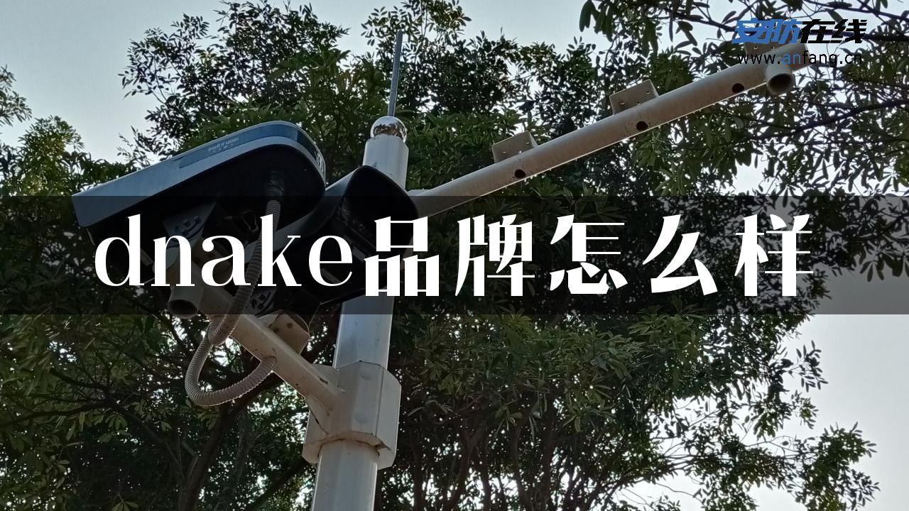 dnake品牌怎么样