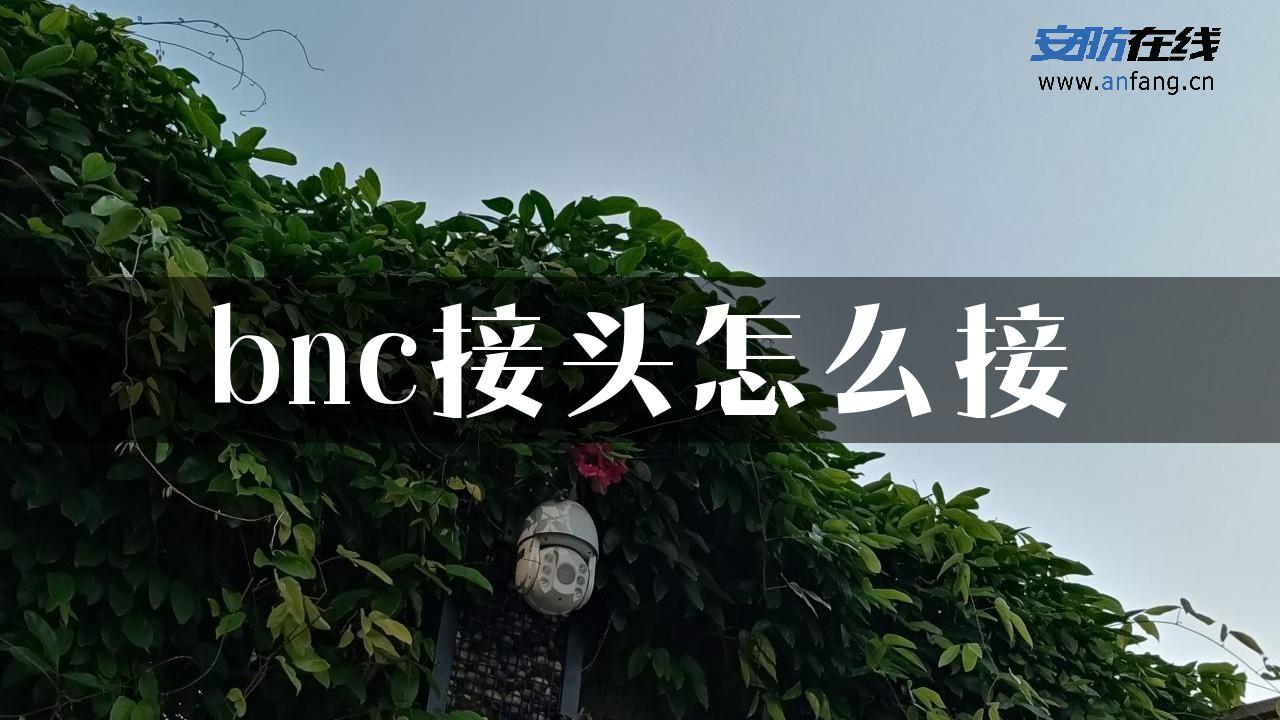 bnc接头怎么接