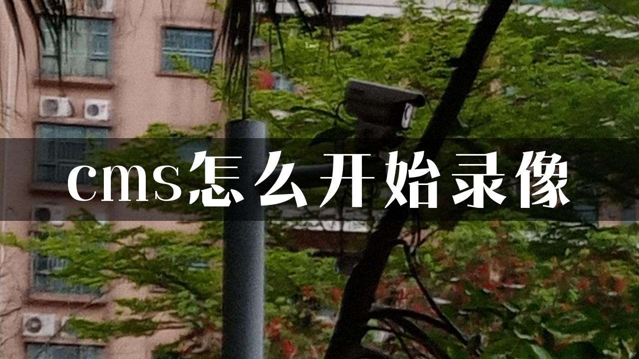 cms怎么开始录像