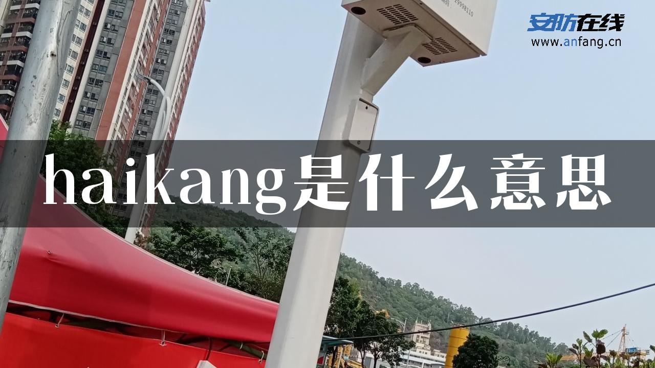 haikang是什么意思