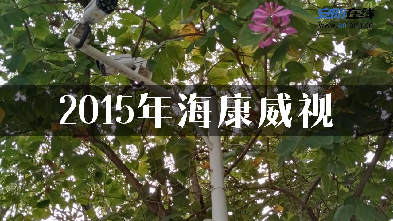 2015年海康威视