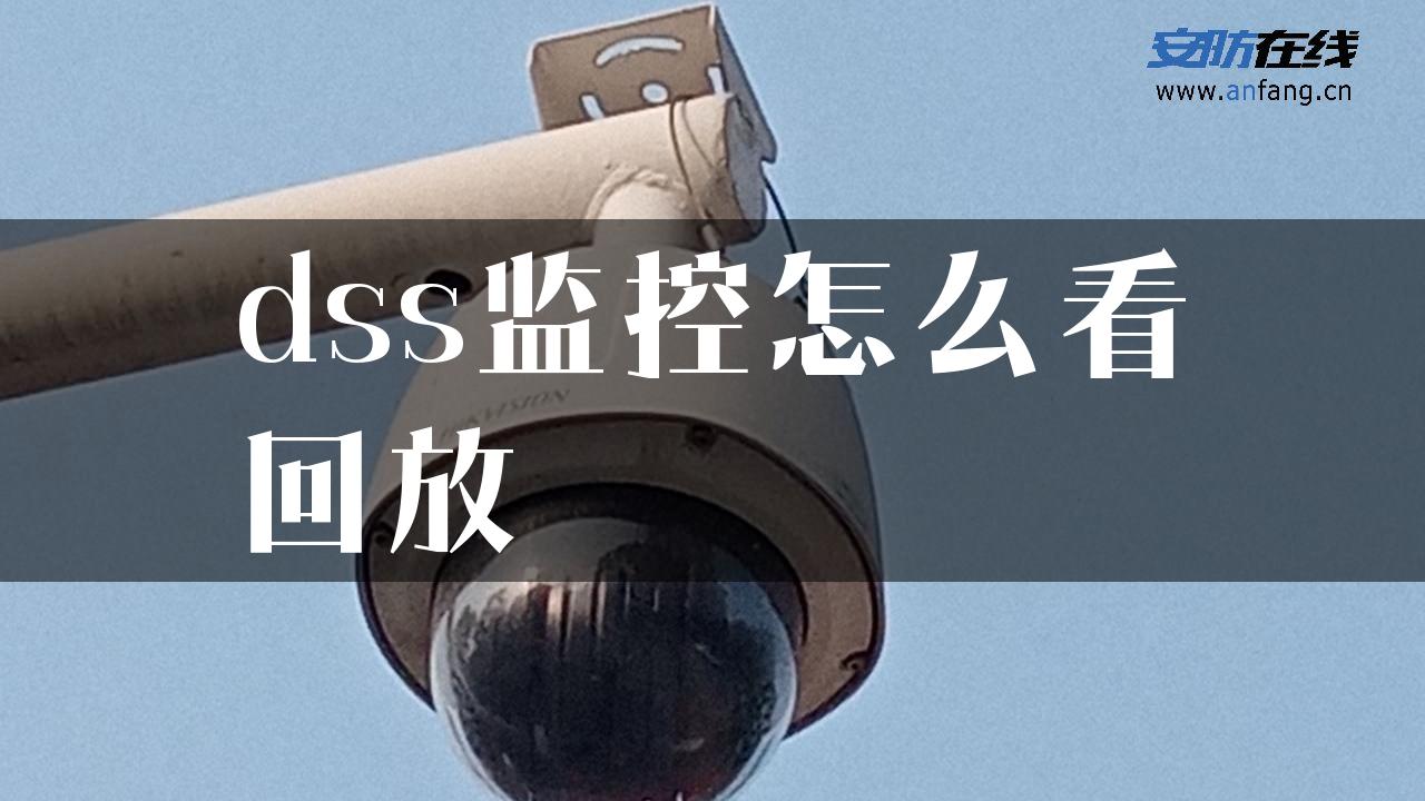 dss监控怎么看回放