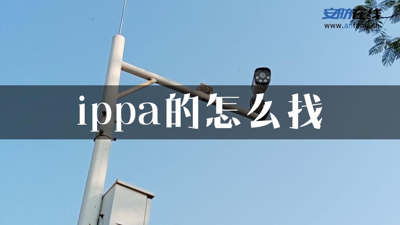 ippa的怎么找