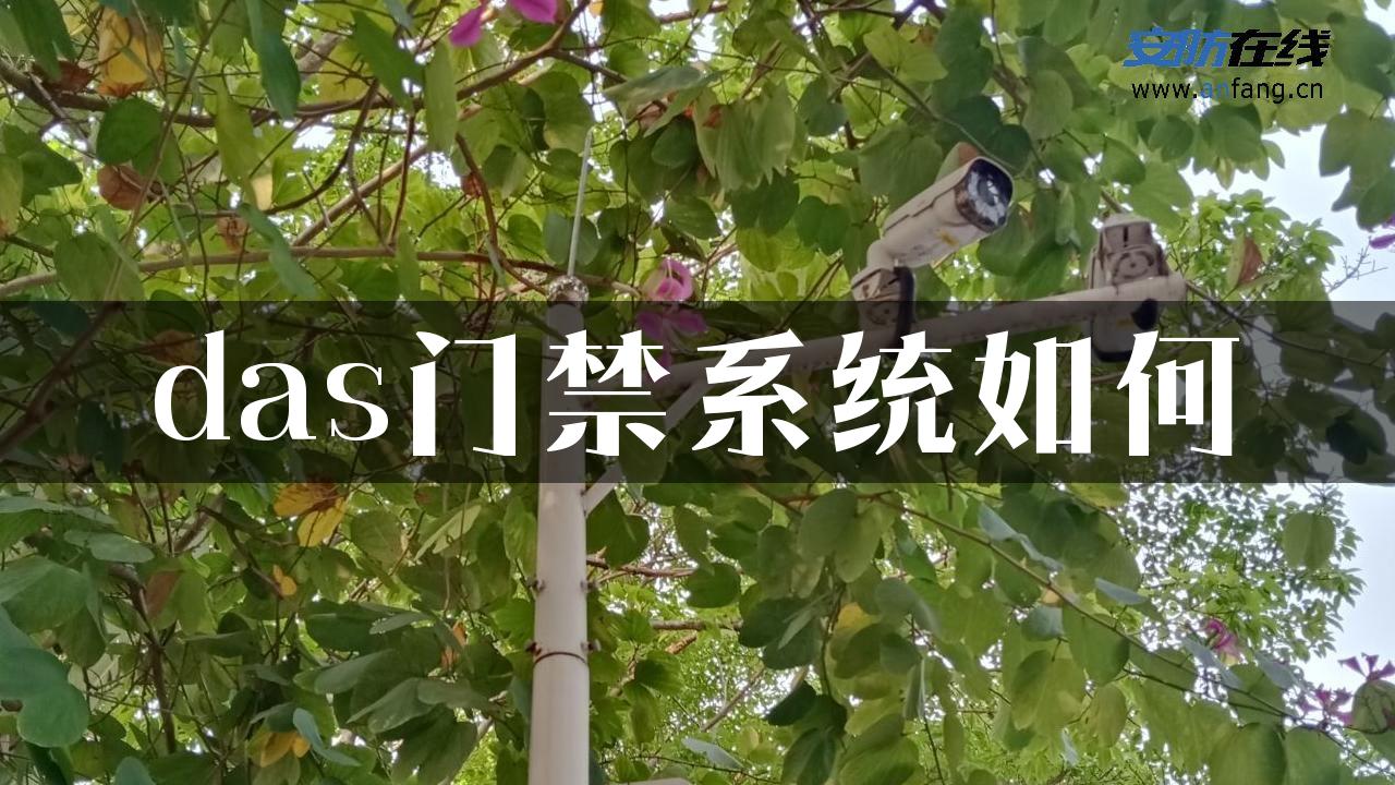 das门禁系统如何