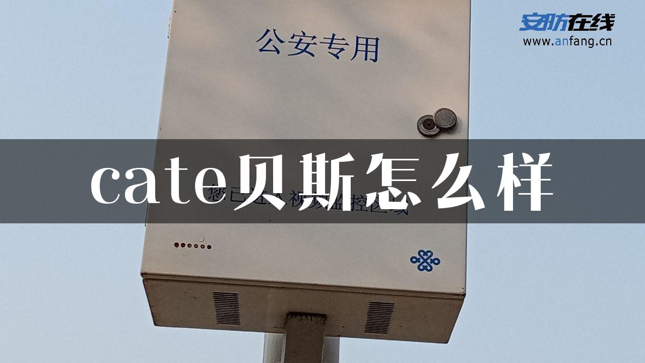 cate贝斯怎么样