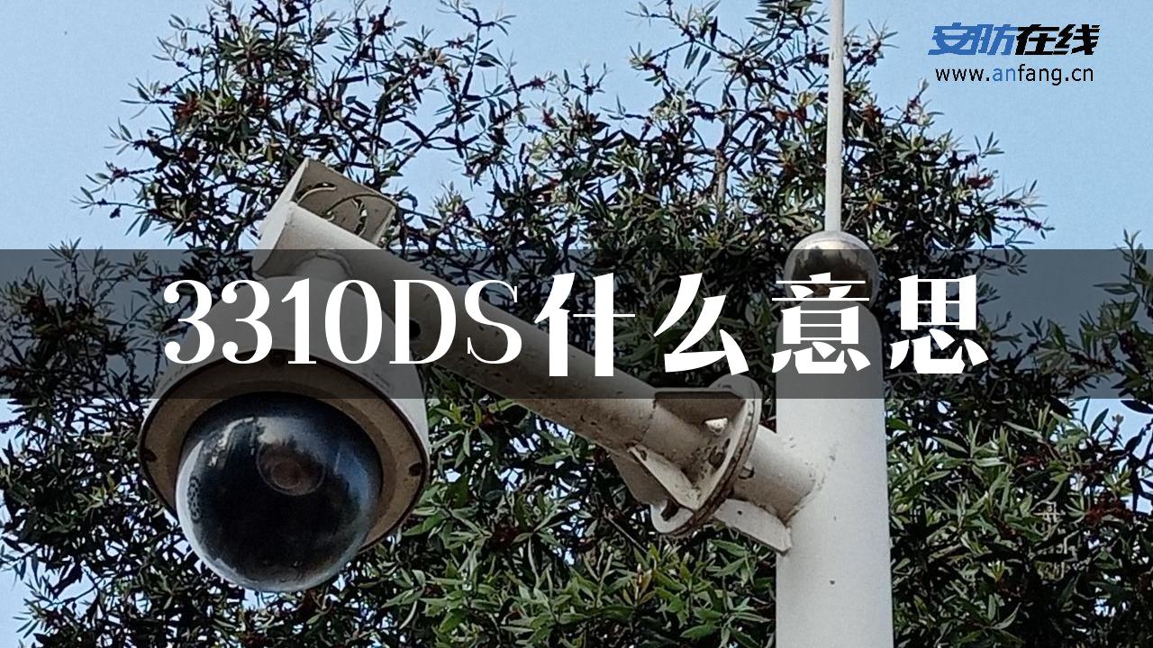 3310DS什么意思