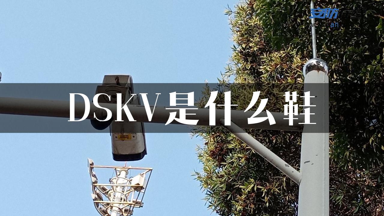 DSKV是什么鞋