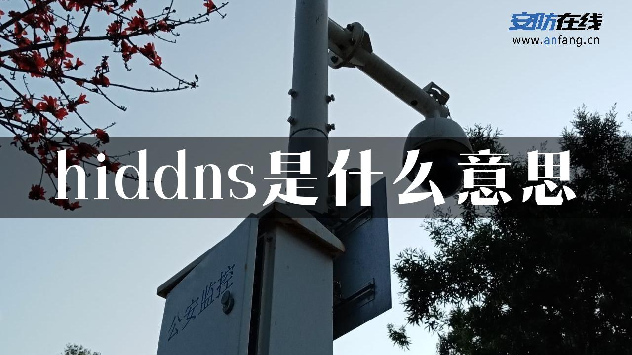 hiddns是什么意思