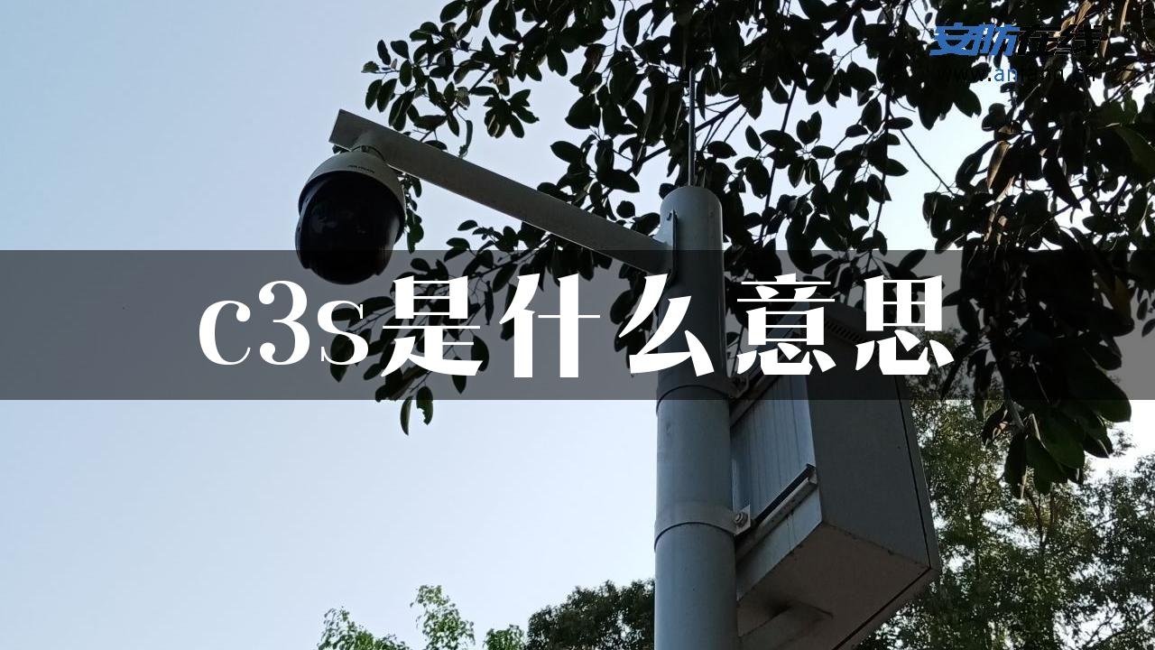 c3s是什么意思