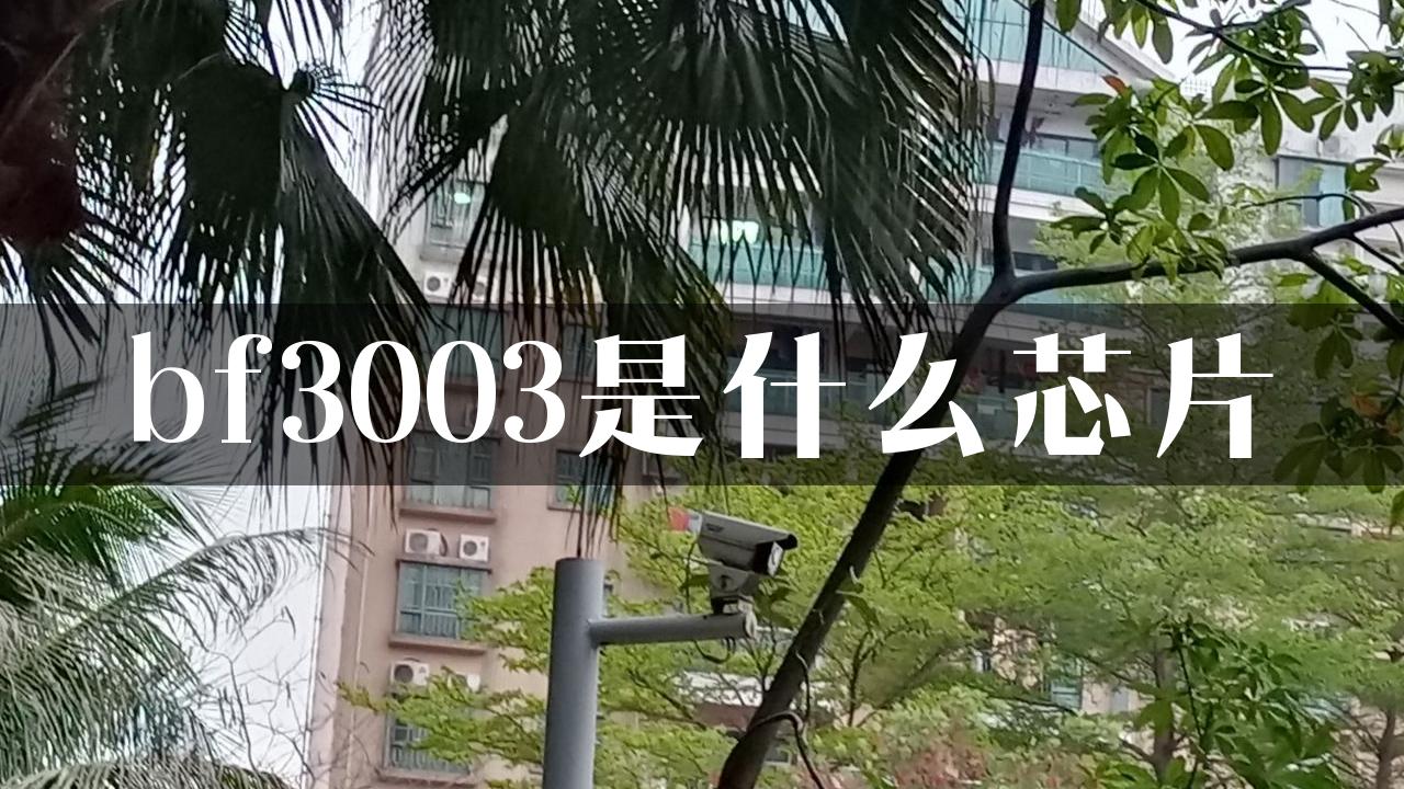 bf3003是什么芯片