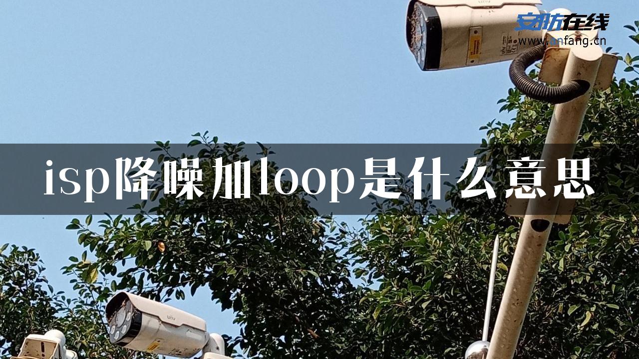 isp降噪加loop是什么意思