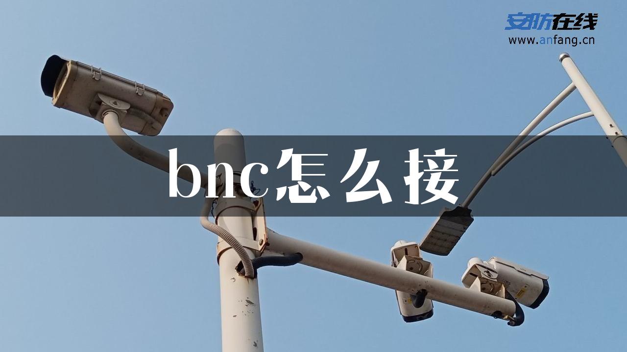 bnc怎么接