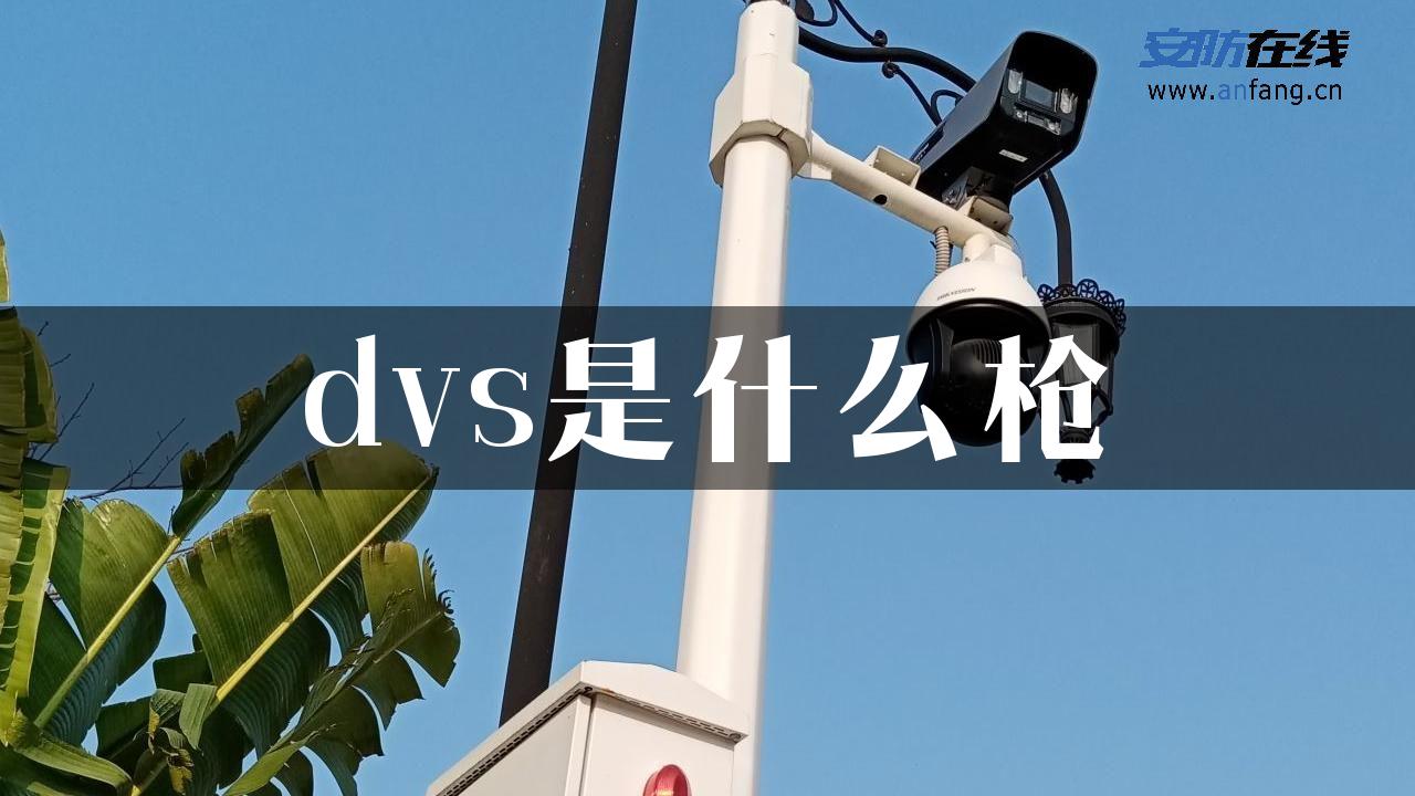 dvs是什么枪