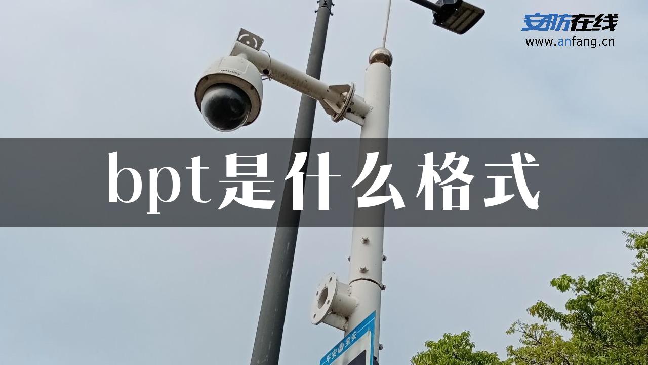 bpt是什么格式