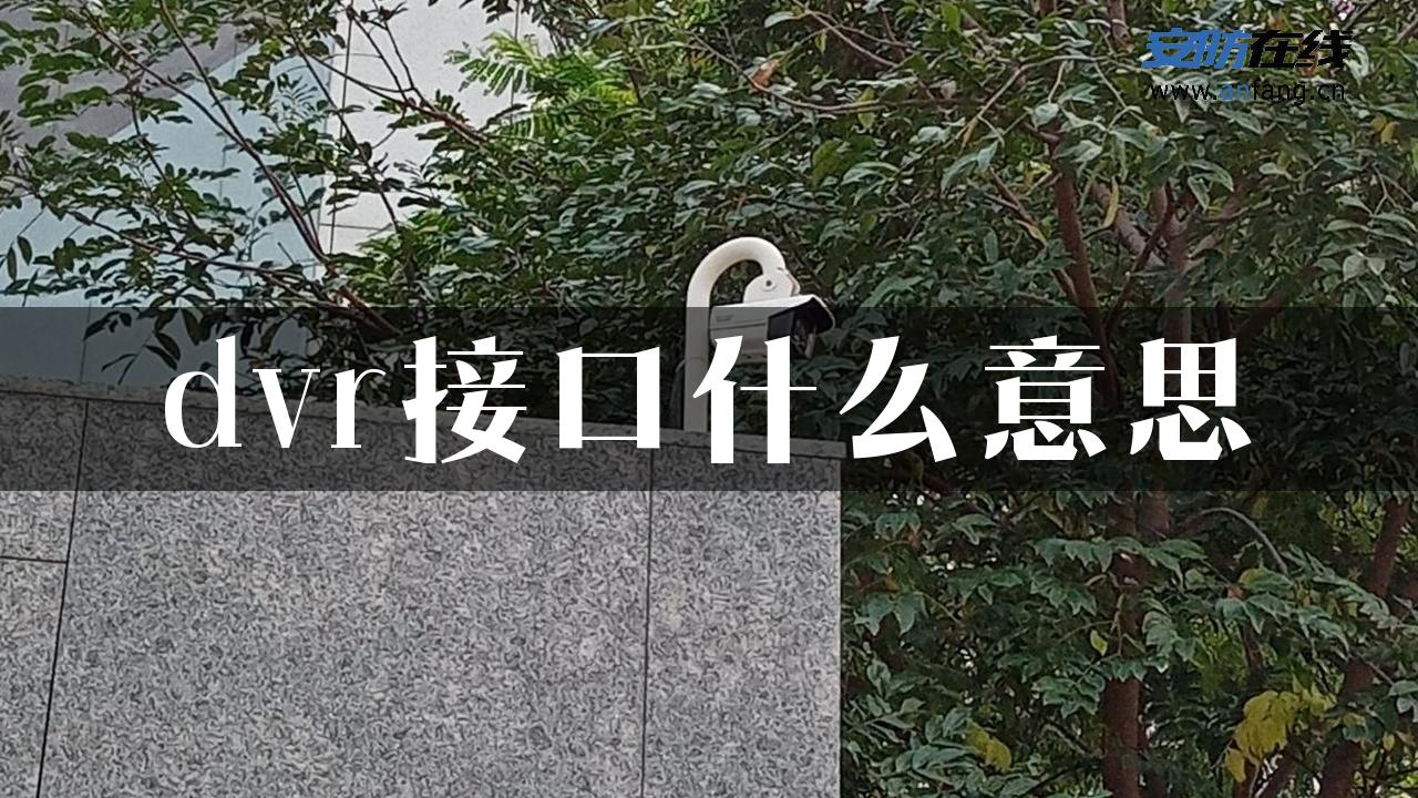 dvr接口什么意思