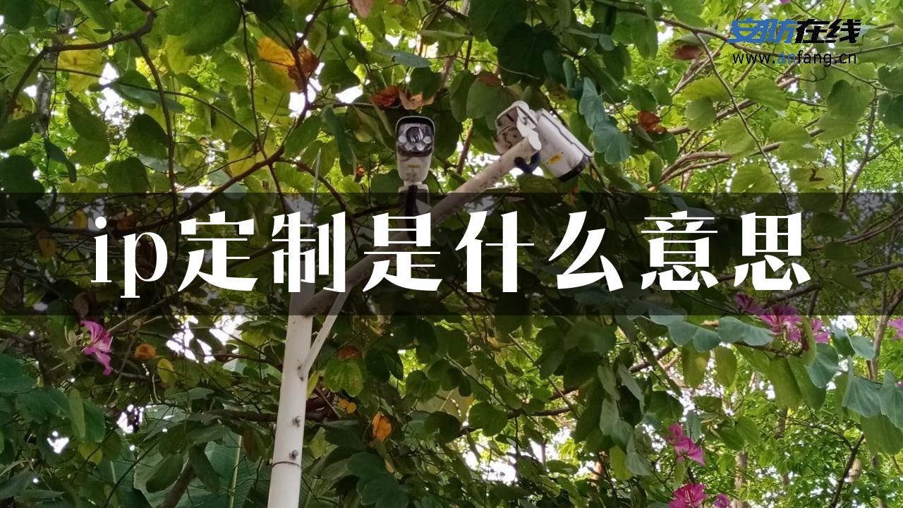 ip定制是什么意思