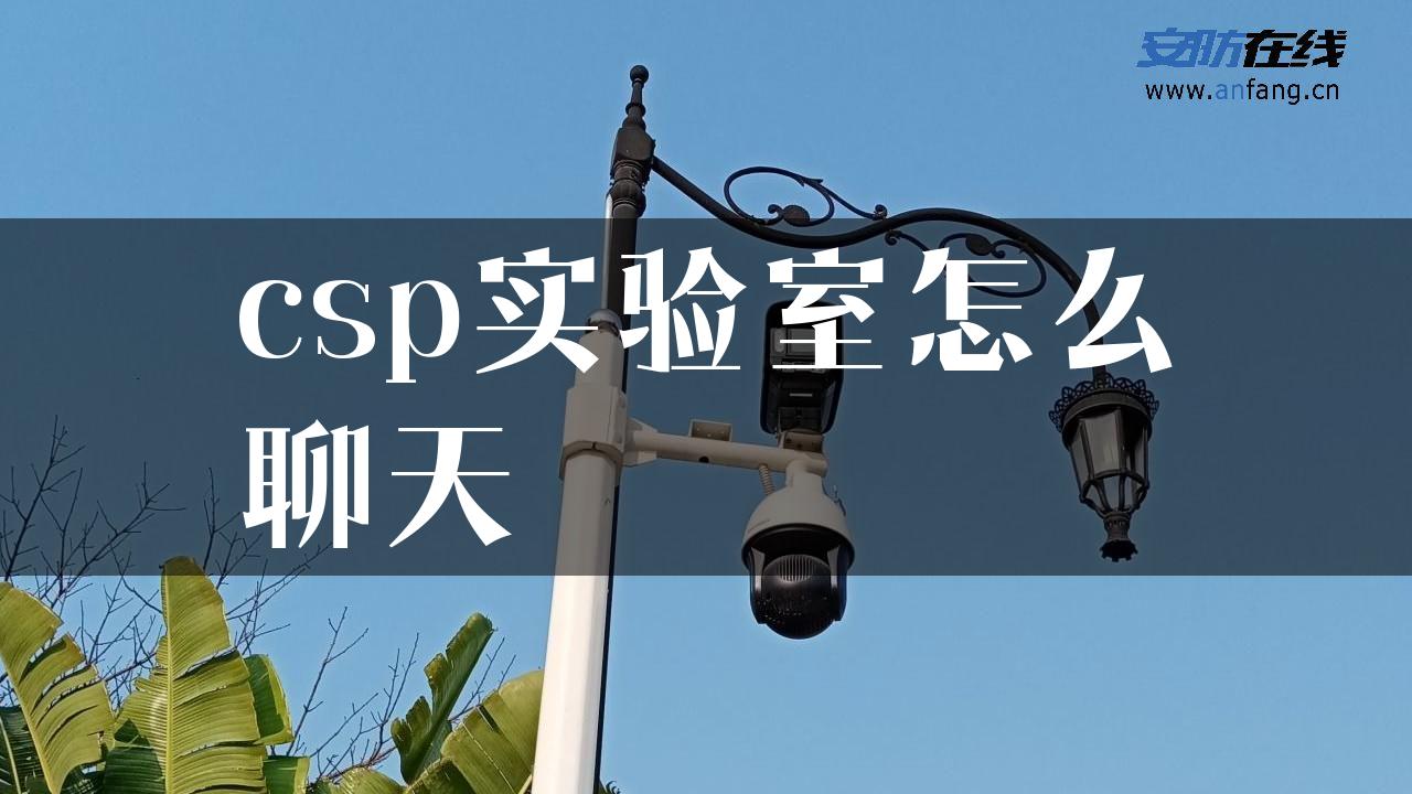 csp实验室怎么聊天