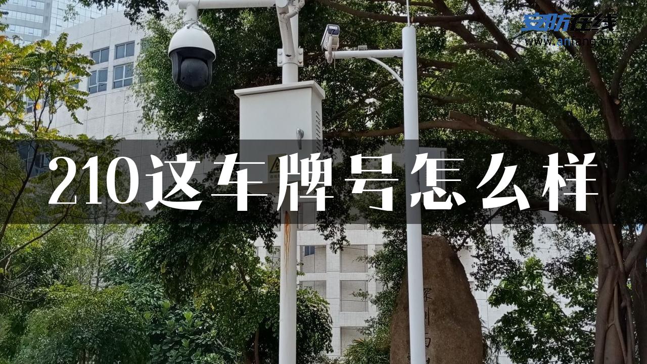 210这车牌号怎么样