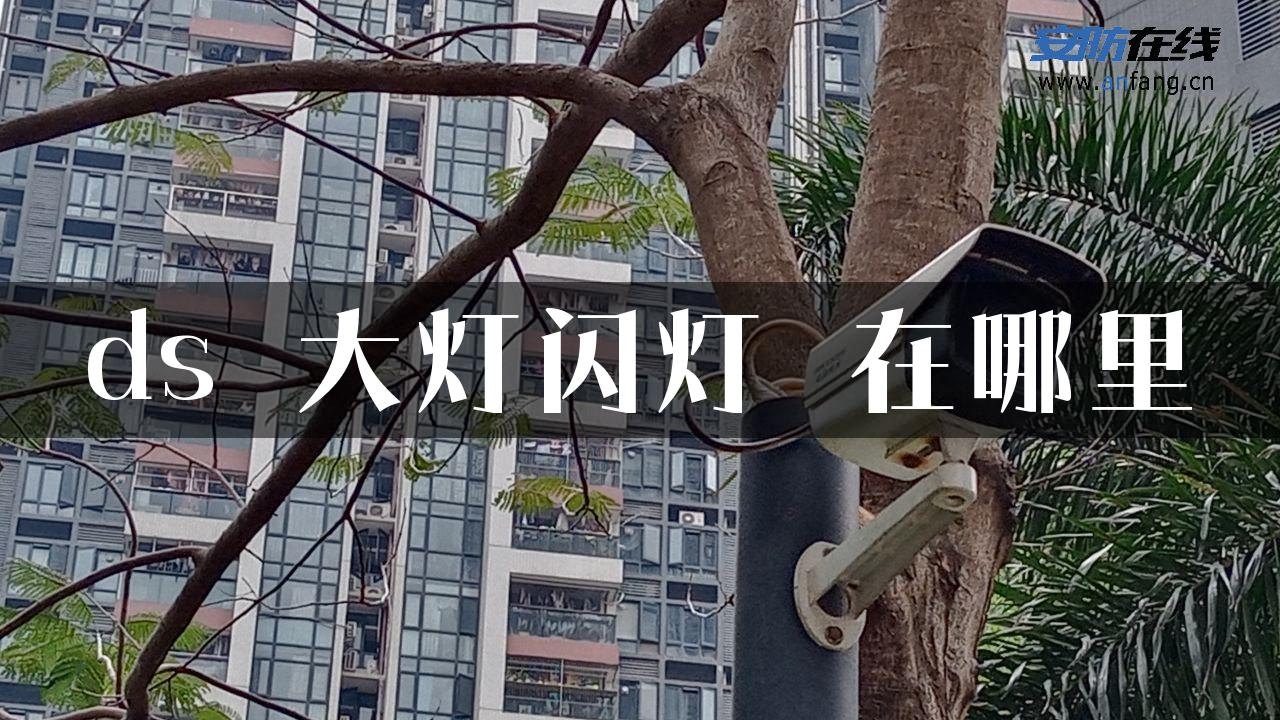 ds 大灯闪灯 在哪里