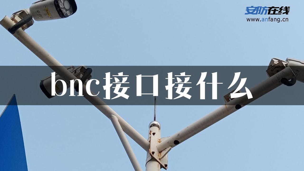 bnc接口接什么