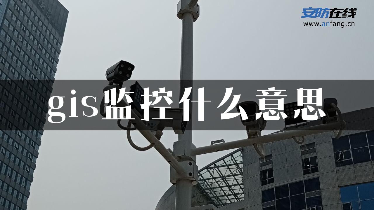 gis监控什么意思