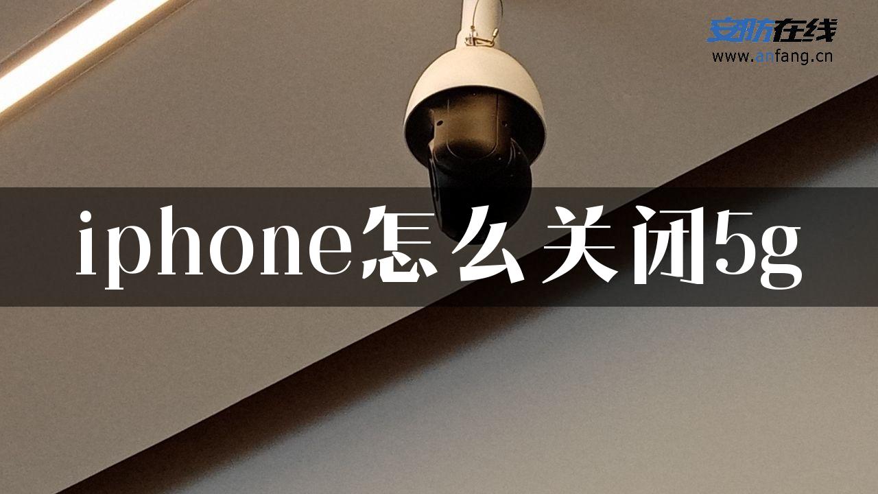 iphone怎么关闭5g