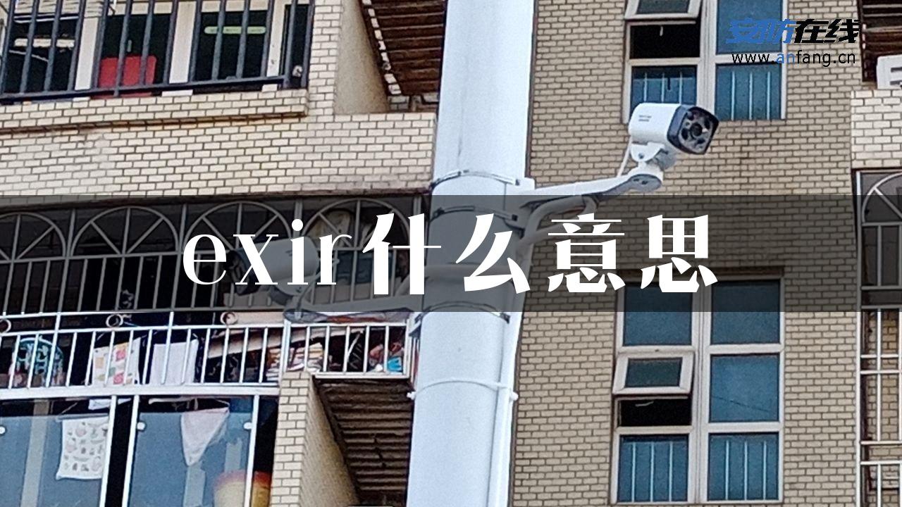 exir什么意思