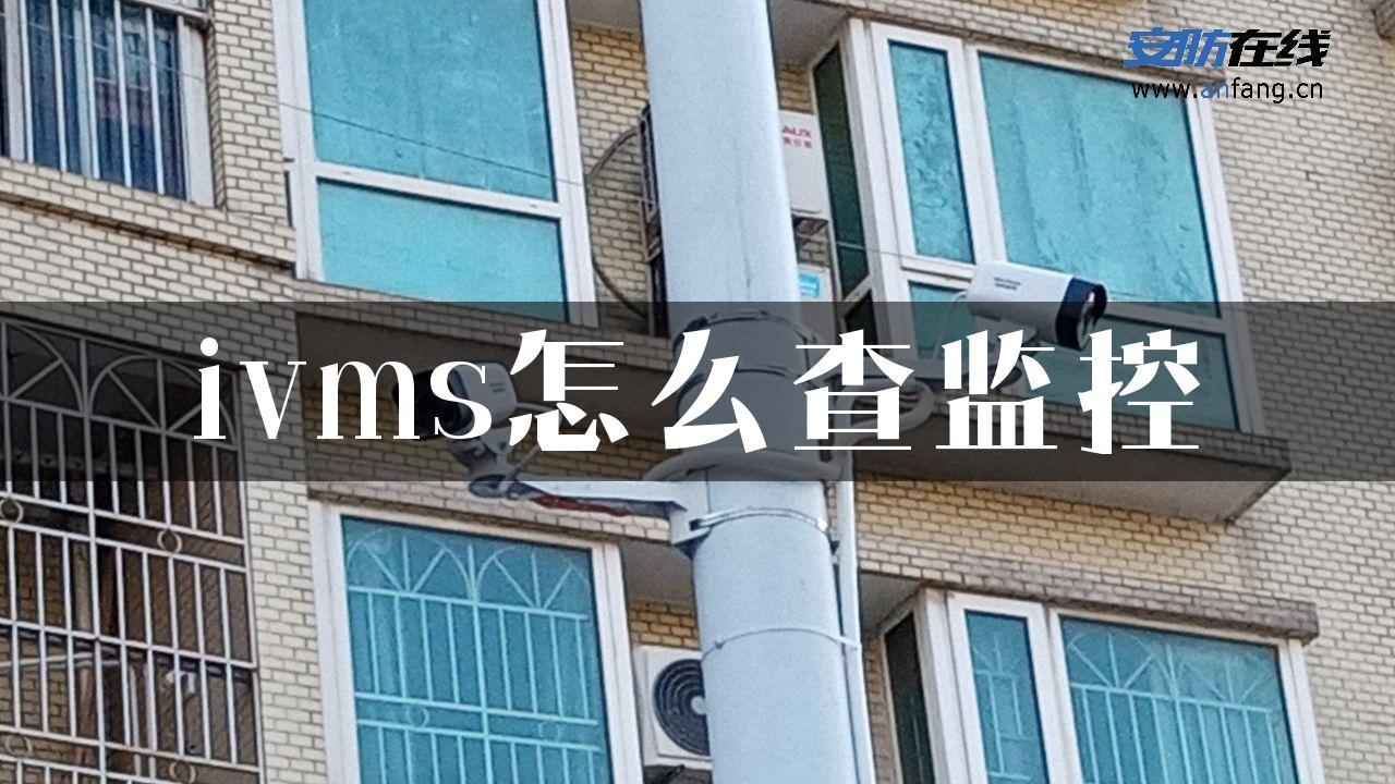 ivms怎么查监控