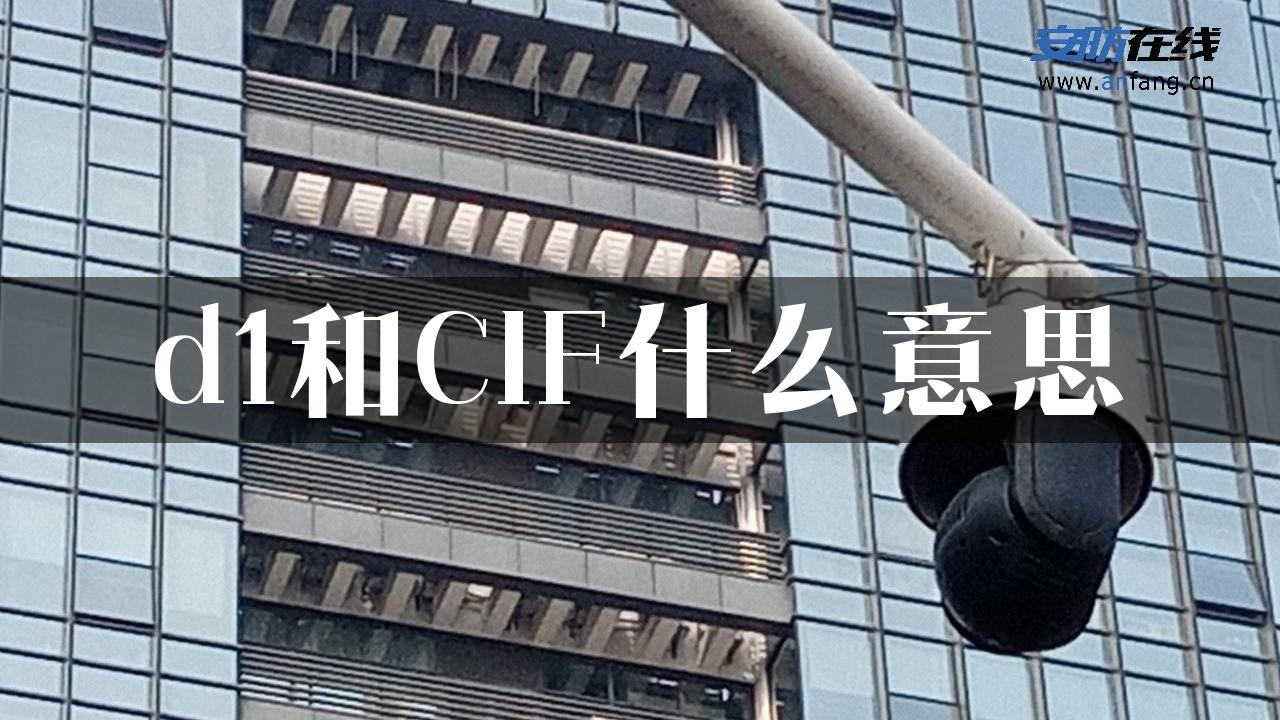 d1和CIF什么意思